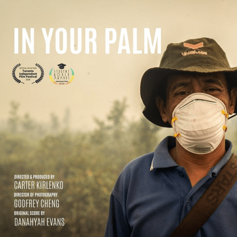 Cover of In Your Palm Documentary