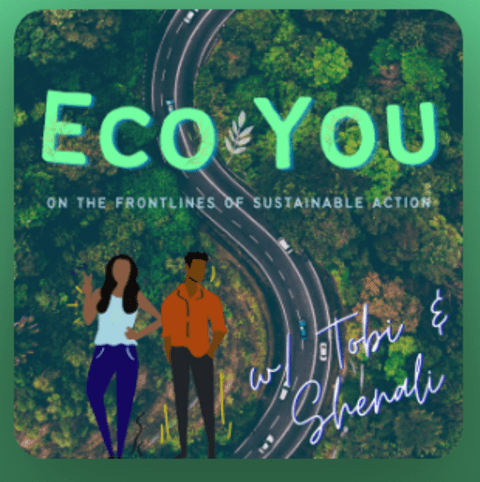 Eco you poster