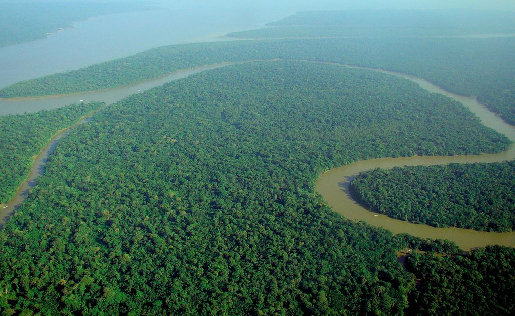 Amazon river - aerial view