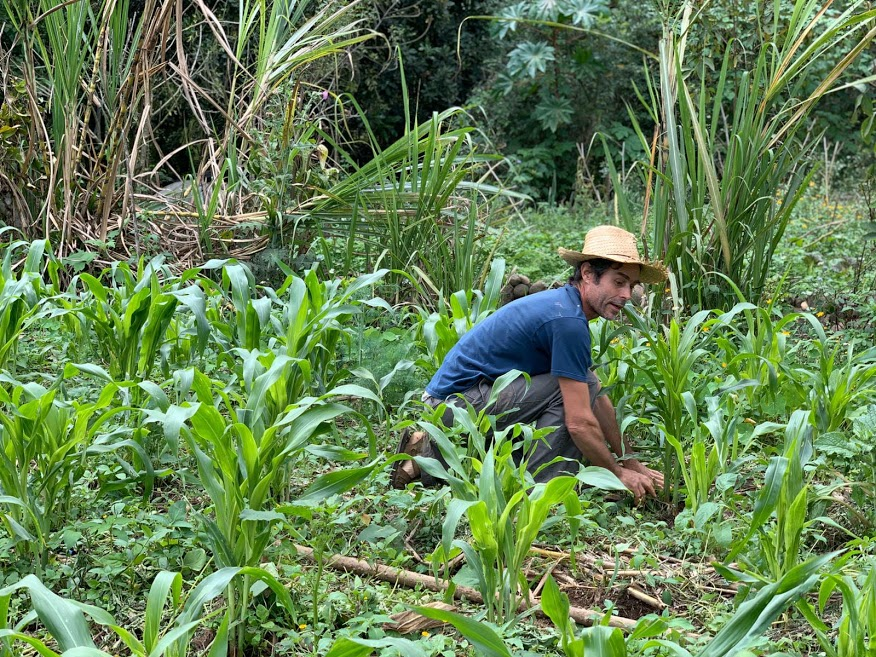 coffee farmer in field