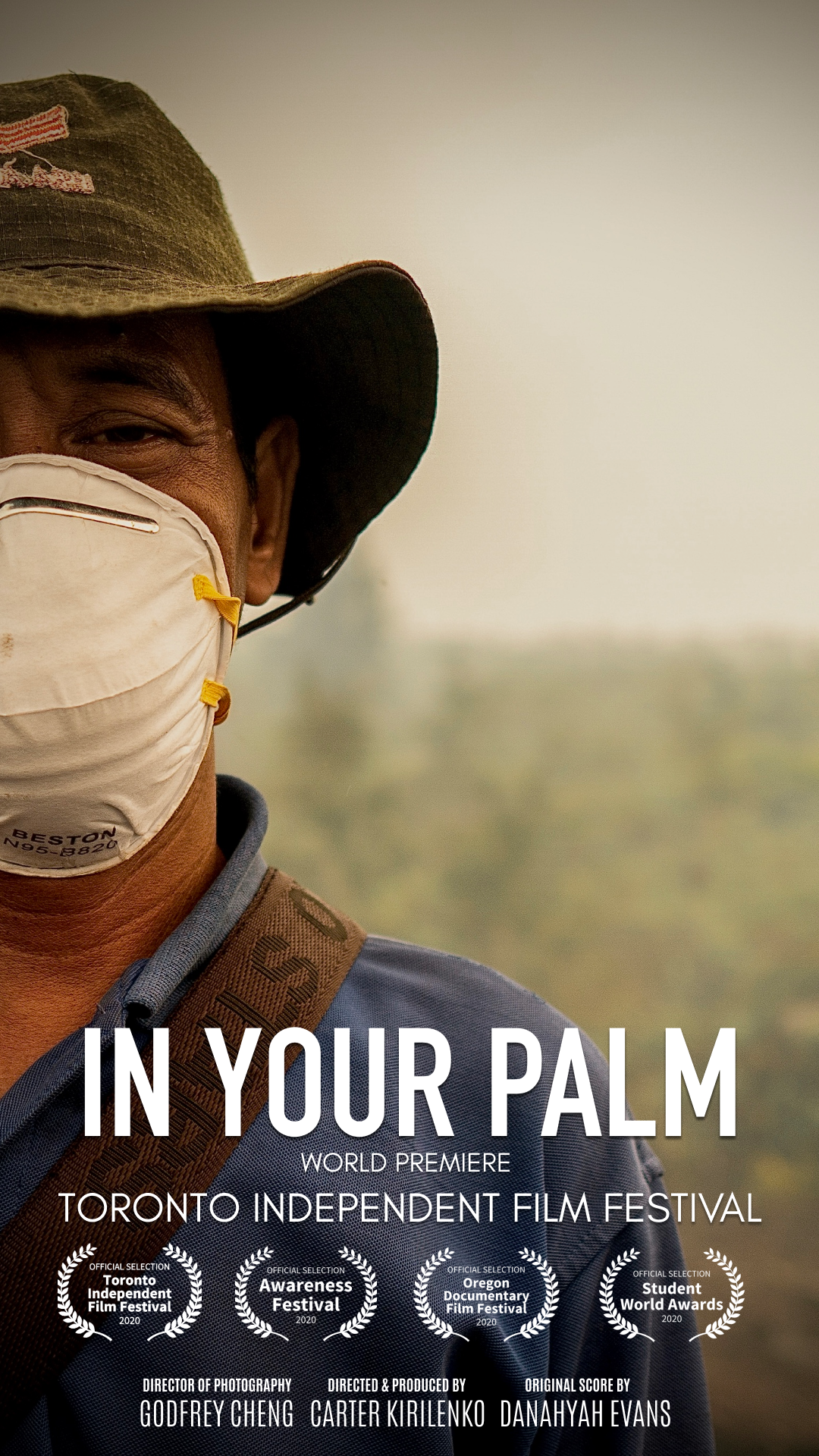 Cover poster of In Your Palm Documentary