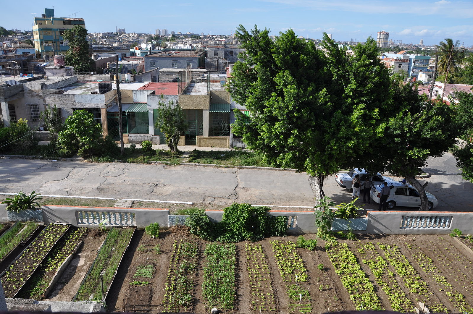 Urban Agriculture Cuba