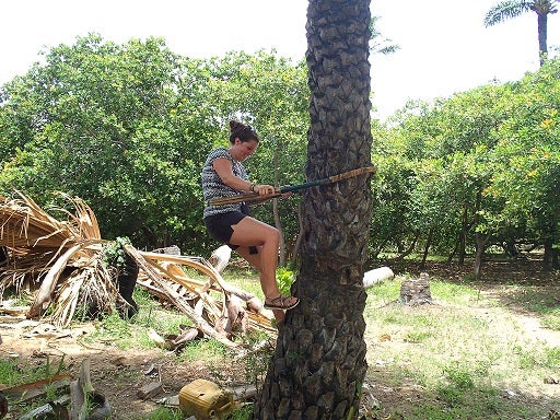 Dani climbing a banana tree