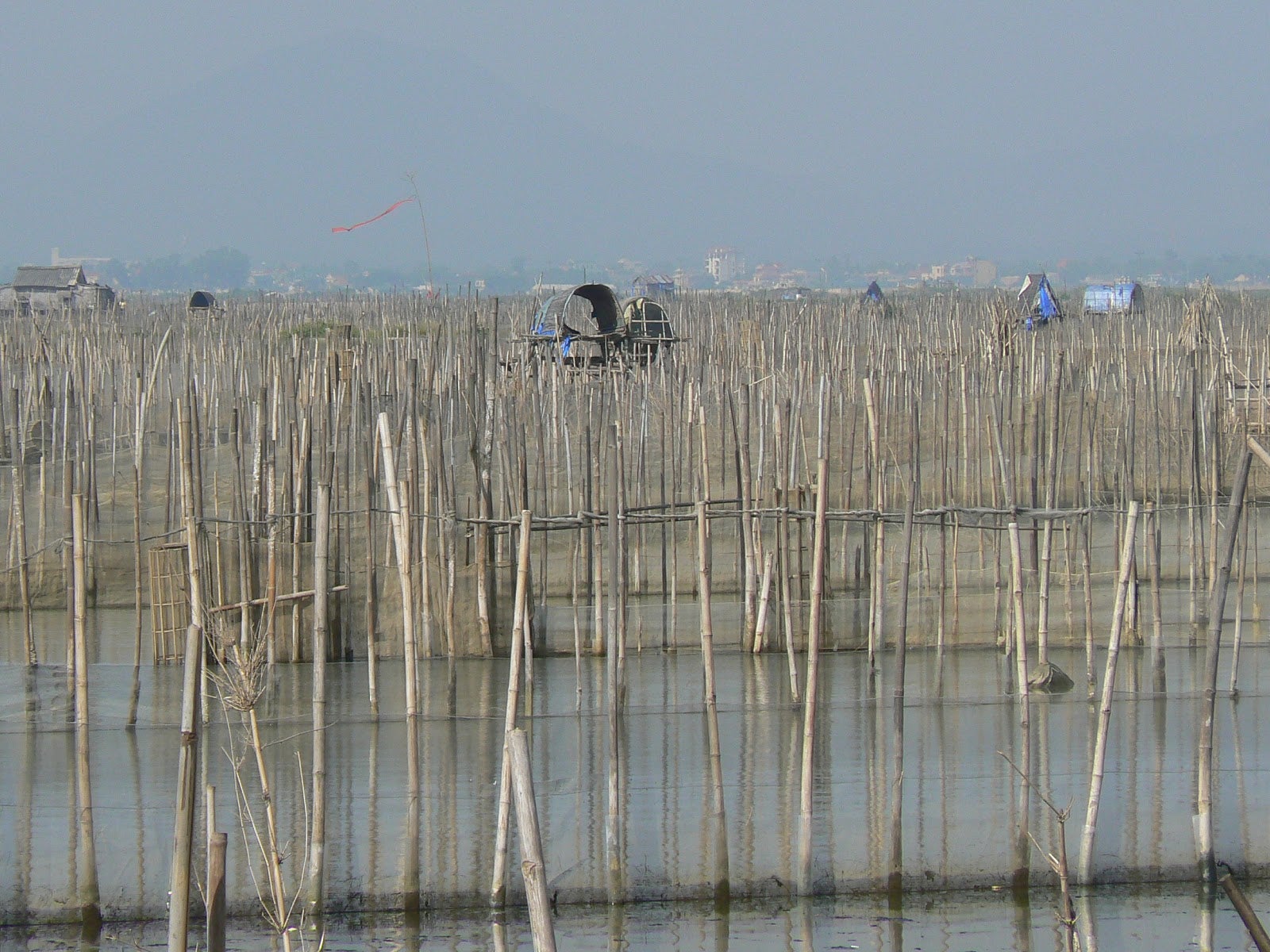fishing nets in water