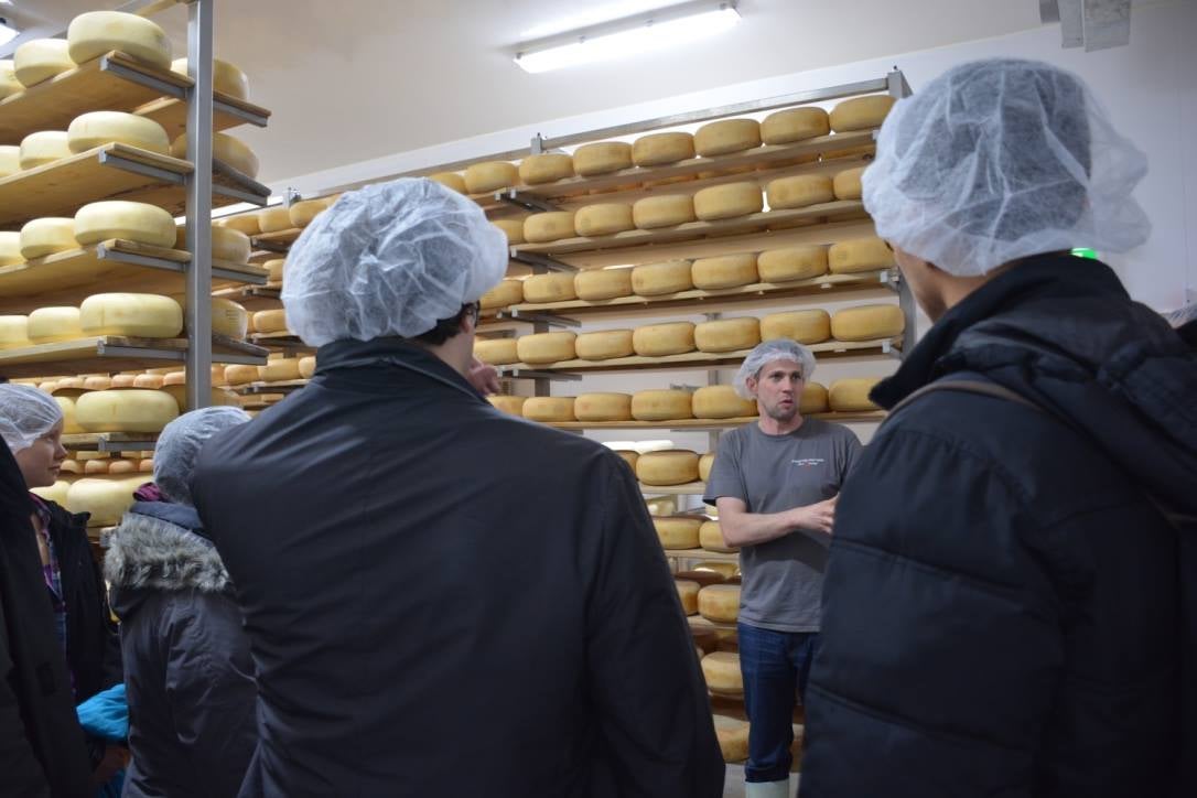 Gunn Hill Cheese Factory Presentation