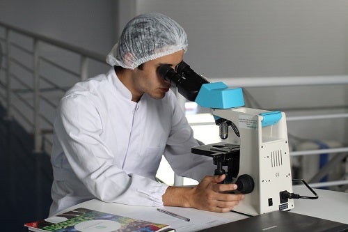A researcher looking into a microscope.