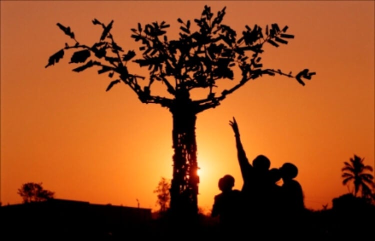 silhouette of a tree and a child reaching for the leaves