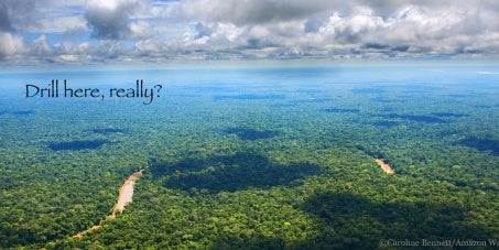 Overhead photo of Rainforest and sky