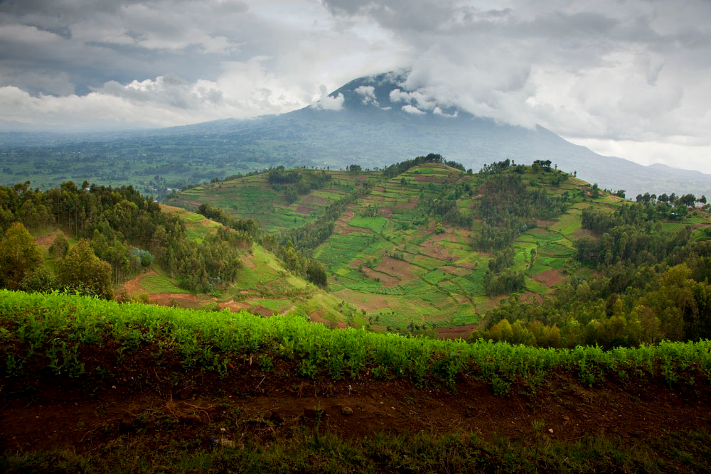 Rwandan landscape