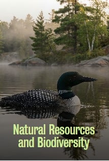 Natural Resources and Biodiversity