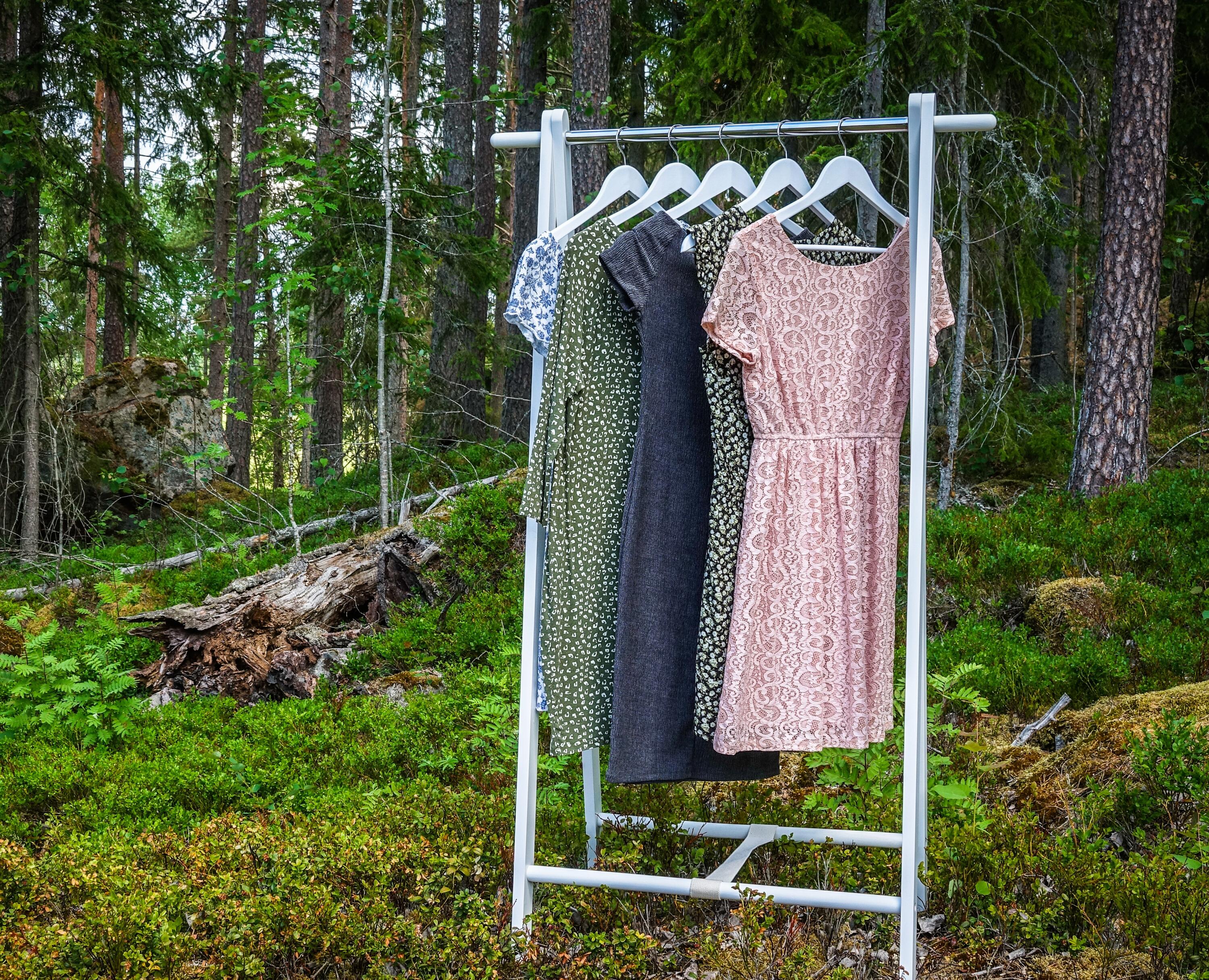 clothes hanging in a forest