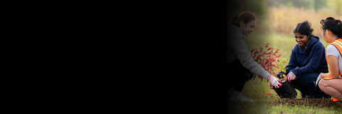 SFM students planting a tree