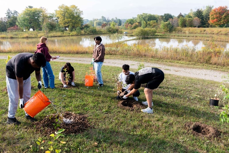 SFM students planting and watering trees at the SFM tree planting event