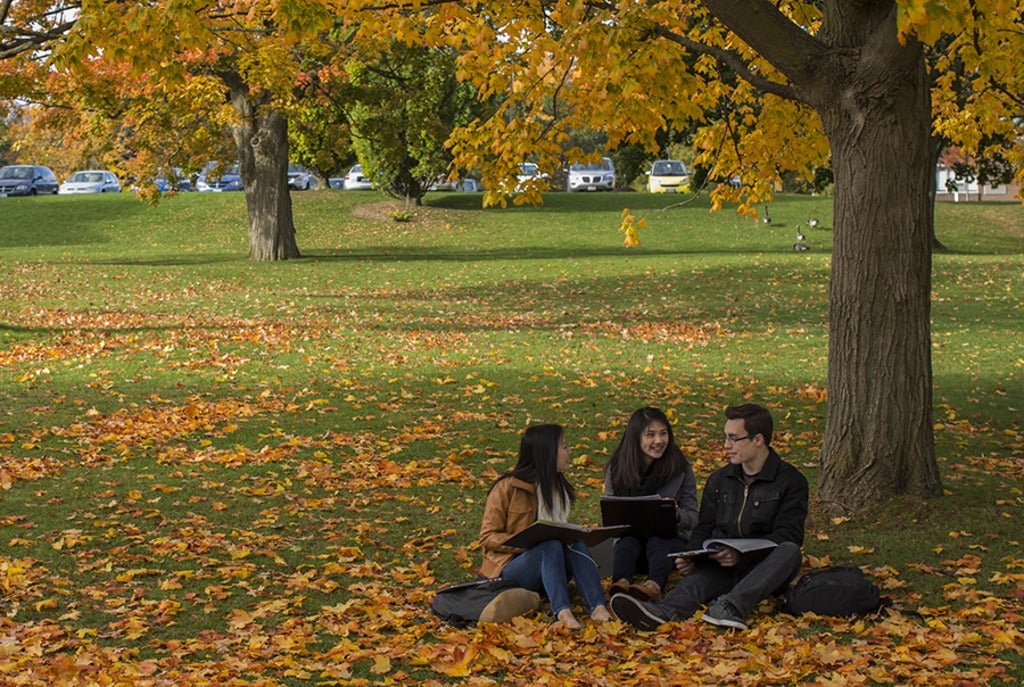 Three students sitting on the ground during fall season