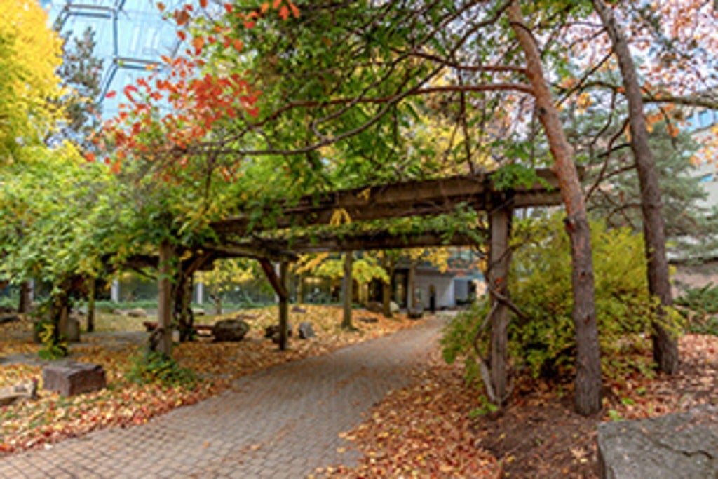 Pathway within UWaterloo campus during fall season