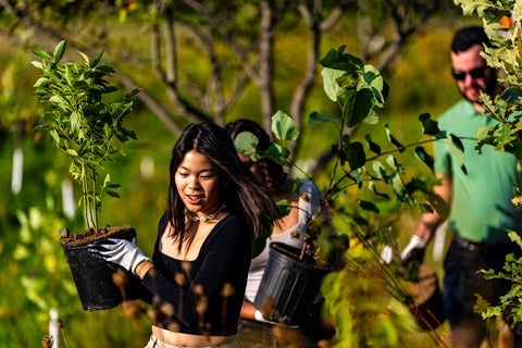 SFM students carry tree saplings