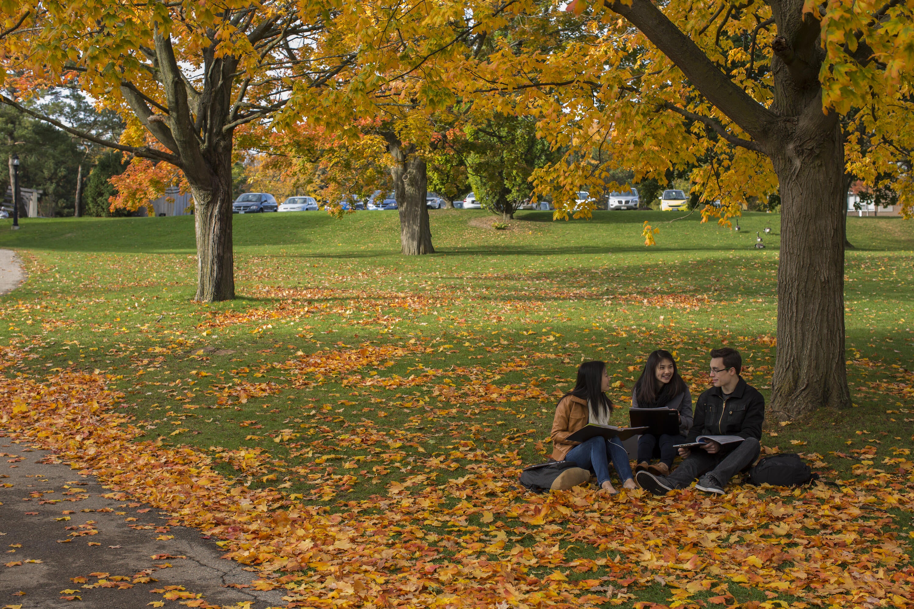 Fall leaves on the ground with three students sitting together