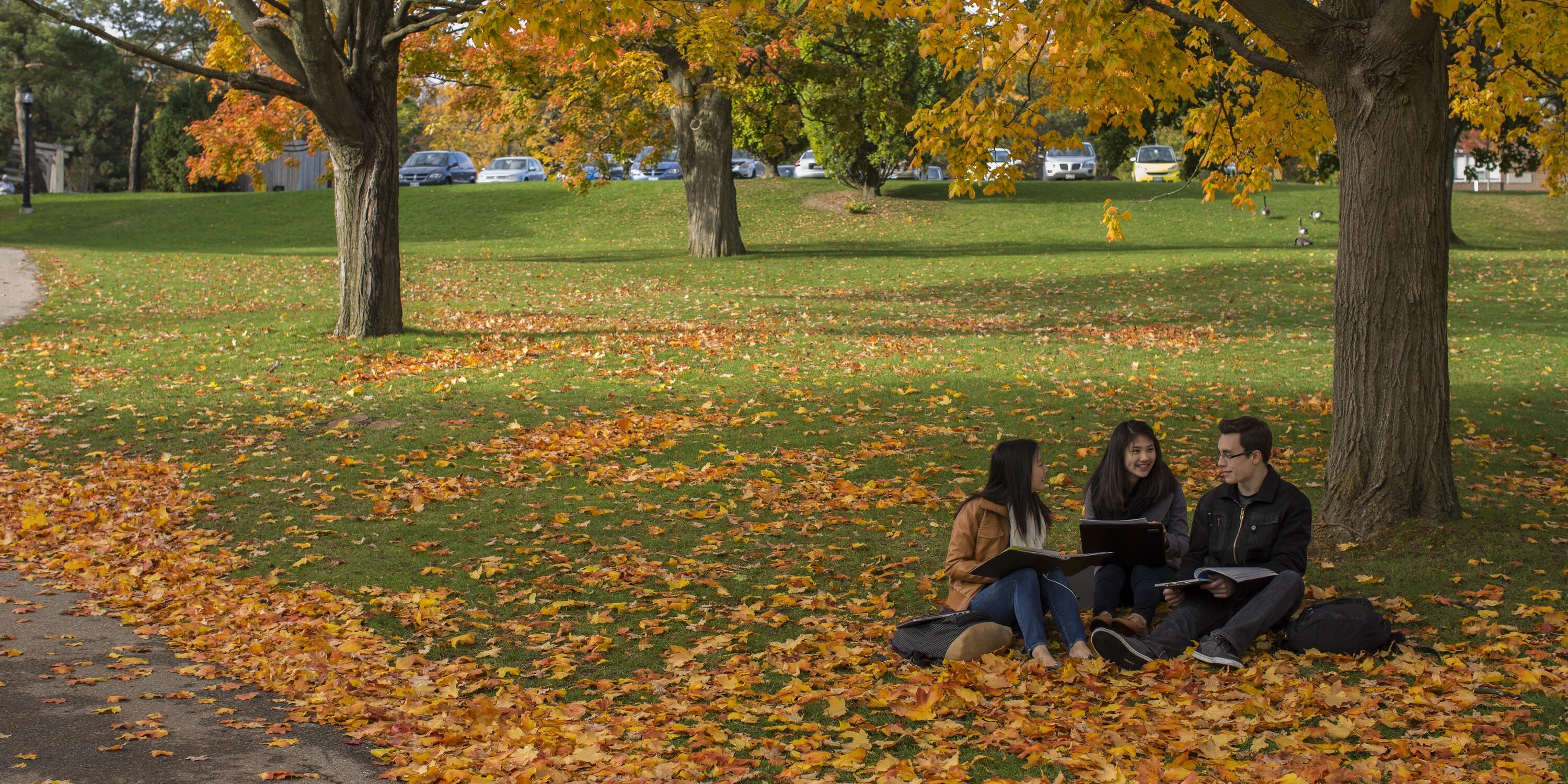 Three students sitting under autumn tree