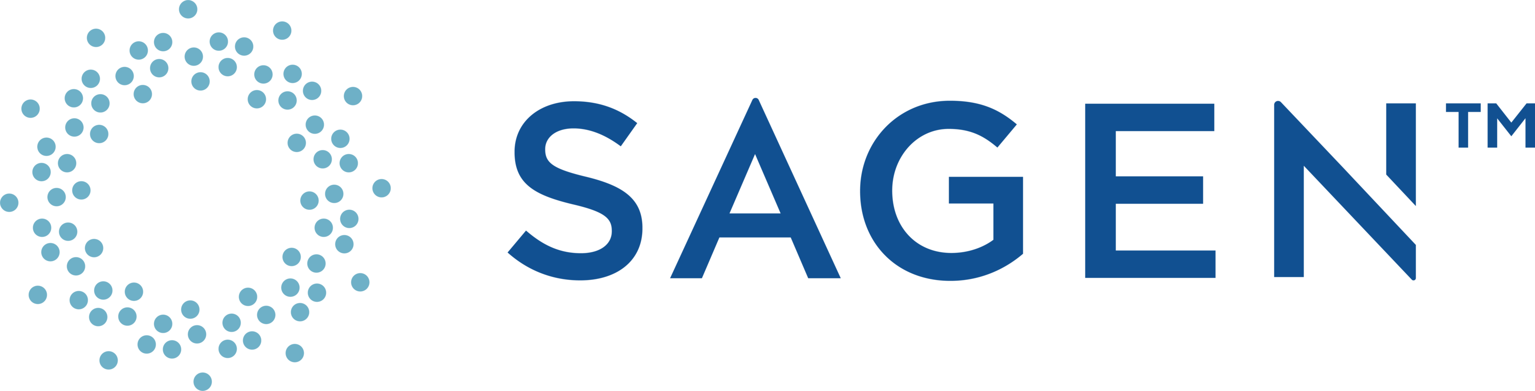 sagen logo