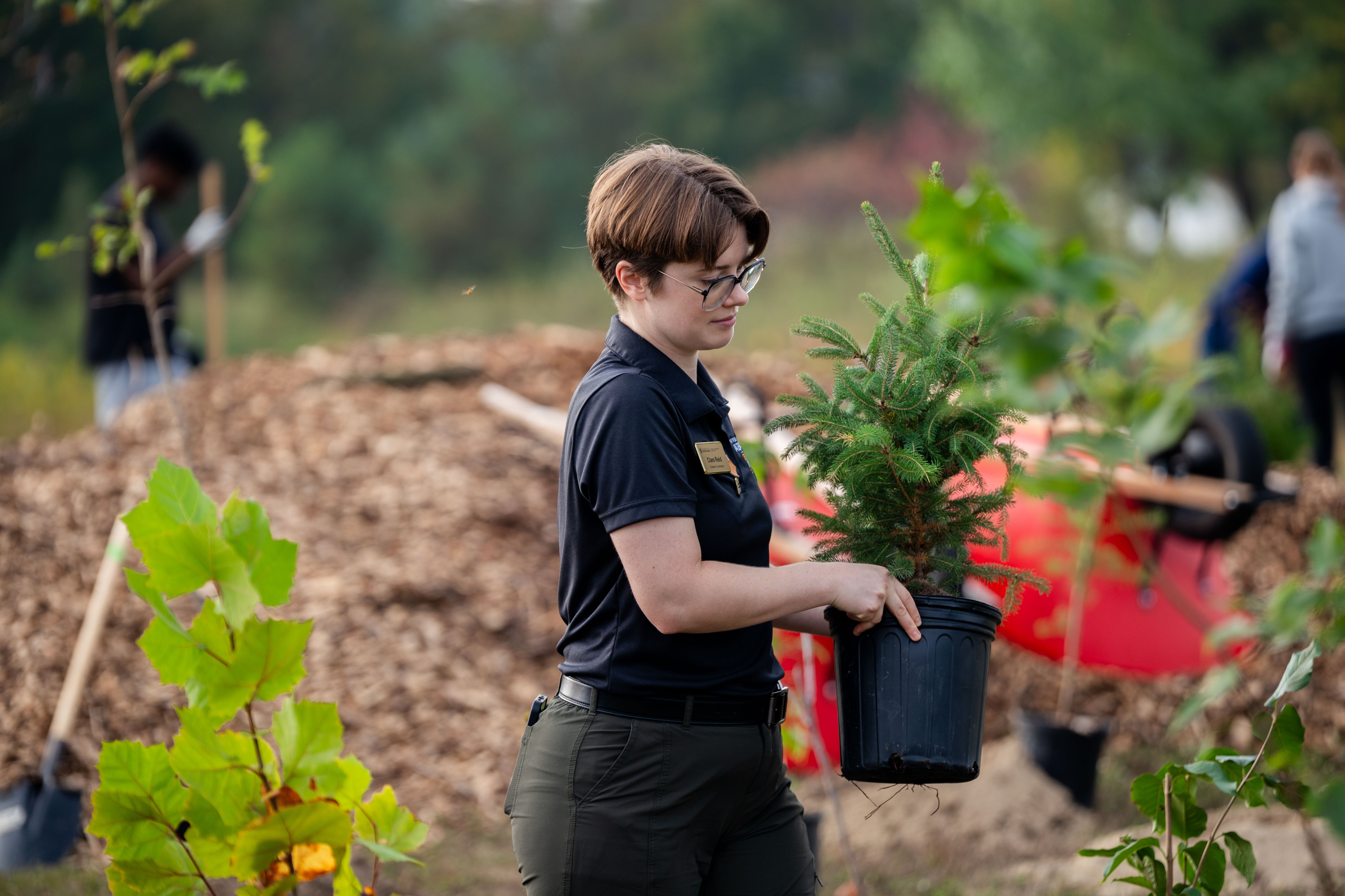 A SAF staff member carries a sapling