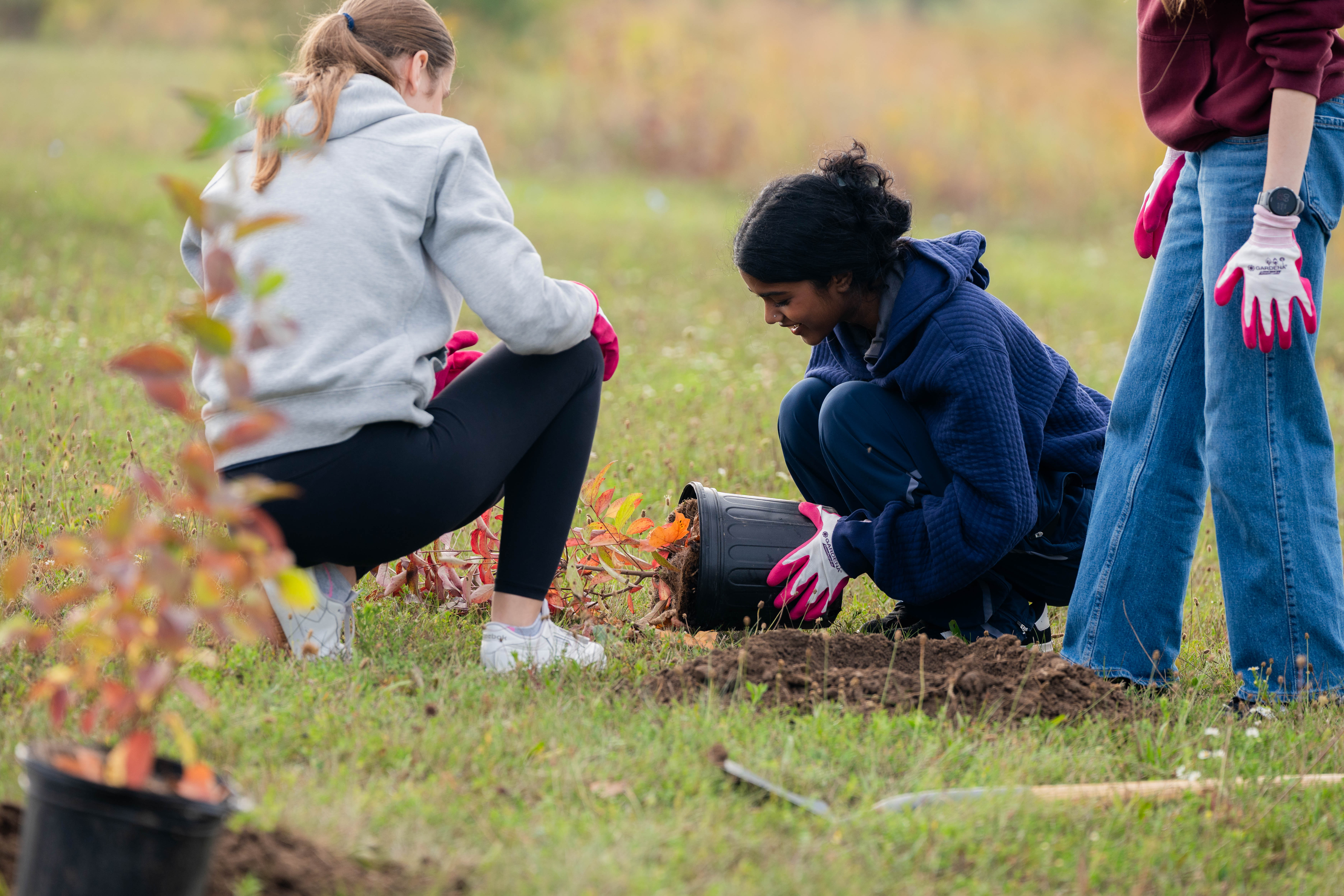Three SFM students work together to plant a tree