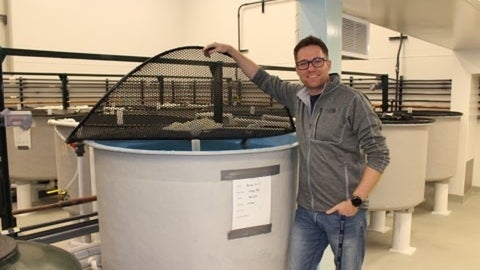 Paul Craig holding up the net covering a large fish tank