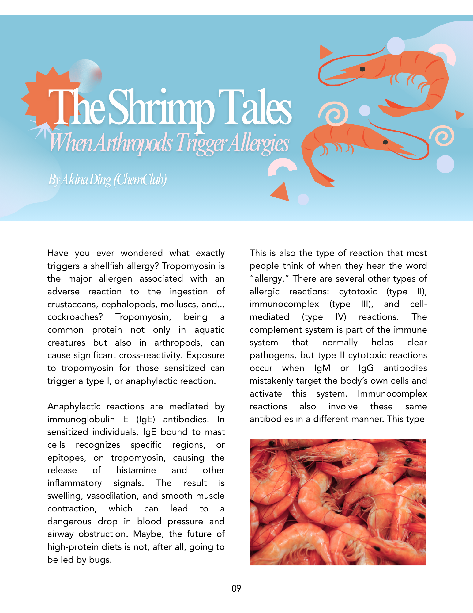 the shrimp tales