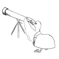 Goose w telescope