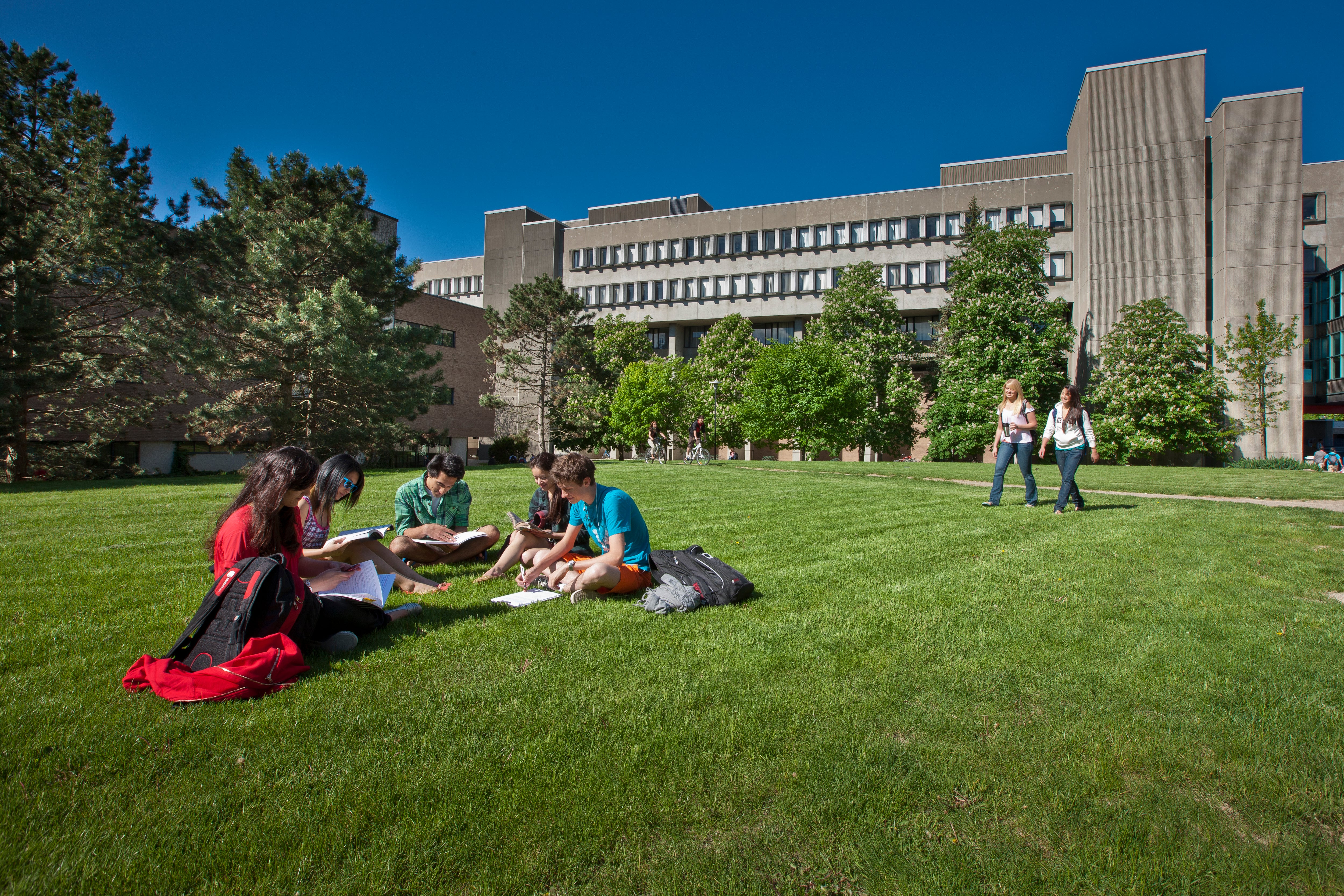 Students studying together outside on campus