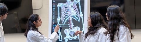 Students examine a digital human cadaver on the new virtual anatomy table in Biology.