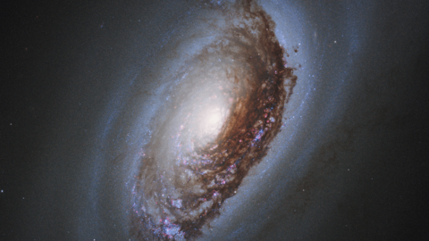 Artistic rendition of a galaxy.