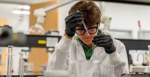 ChemX lab activity
