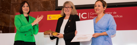 Donna Strickland receives Gold Medal from CSIC.
