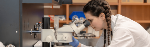A co-op student looking into a microscope in a lab at the University of Waterloo. She is wearing a white lab coat and her hair is in braids. 