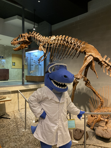 Cobalt mascot standing in front of Science's albertosaurus skeleton
