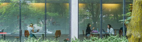 students working at desks