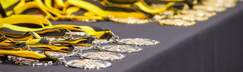 IDEAL Scholar medals laying flat on a table