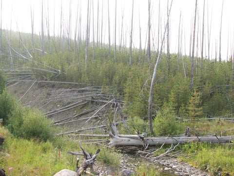 Lost Creek Fire