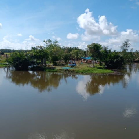 Mekong Delta