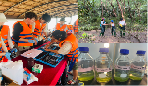 Composite image of field work at the 2025 Mekong Delta course.