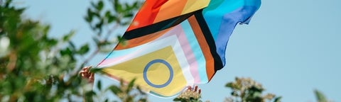 Pride flag blowing in the wind against trees and a blue sky. 