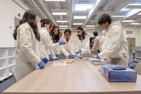 Students dissecting organs. 