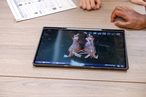 One of the companion tablets to the Anatomage virtual dissection table. 