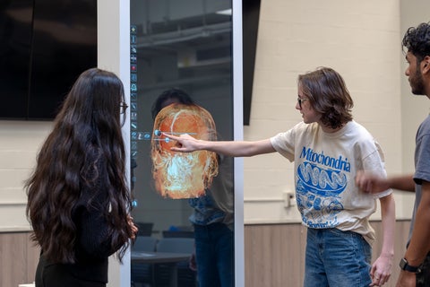 Students in the new Biology anatomy teaching room.