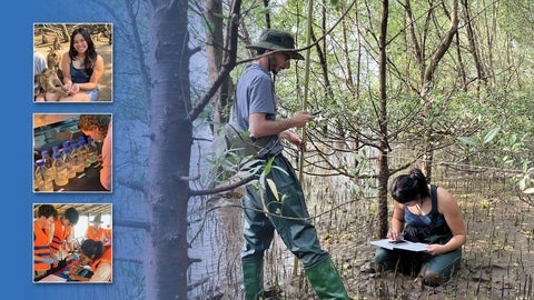 Composite image of students working in the Mekong Delta during the 2025 course.