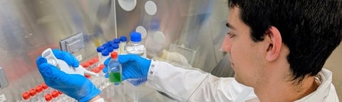 Graduate student, Isaac Meza-Padilla, working in the lab. 