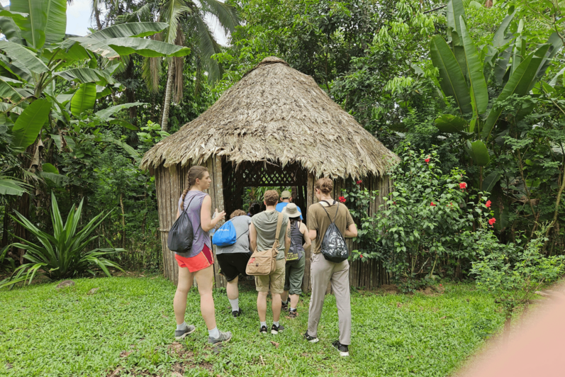 Students entering a hut near the rainforest.