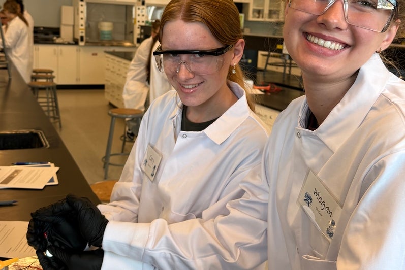 chemx battery lab participants
