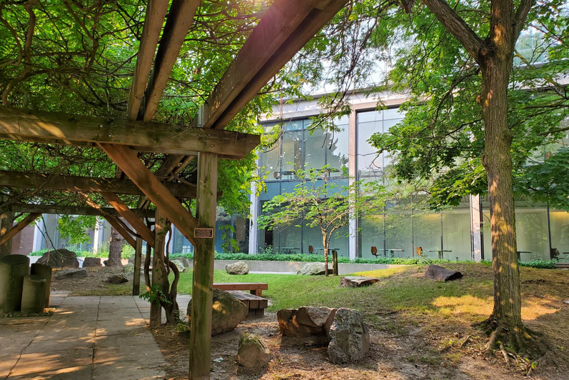 A sunny day in the Peter Russell rock garden