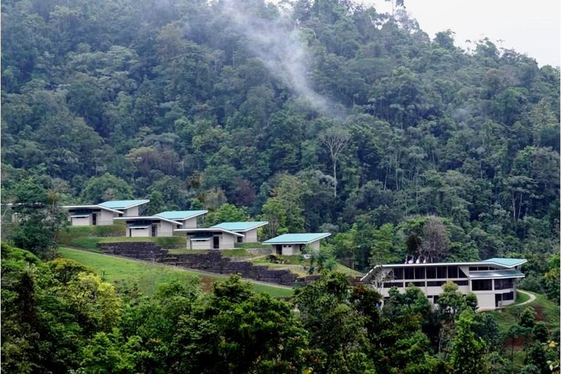 The Soltis Center in a clearing in the rainforest